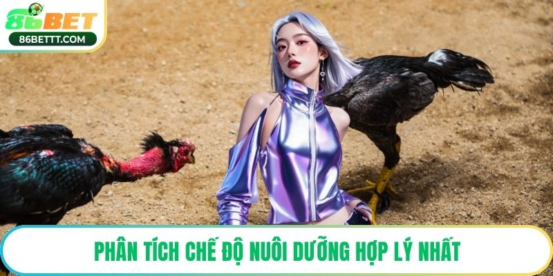 Phân tích chế độ nuôi dưỡng hợp lý nhất