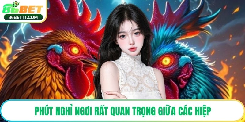 Phút nghỉ ngơi rất quan trọng giữa các hiệp