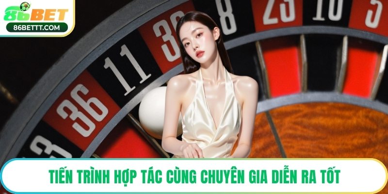 Tiến trình hợp tác cùng chuyên gia diễn ra tốt