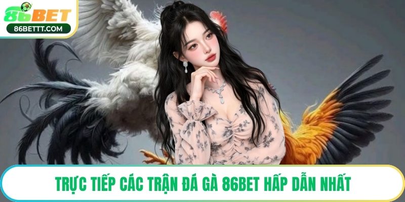 Trực tiếp các trận đá gà 86Bet hấp dẫn nhất